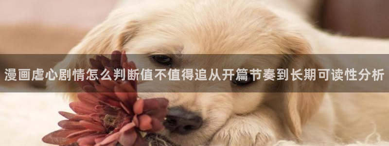 漫蛙漫画网页入口