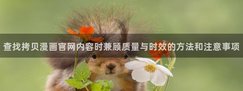 漫蛙漫画网站:查找拷贝漫画官网内容时兼顾质量与时效的方法和注意事项